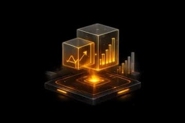 MIS & Executive Dashboards